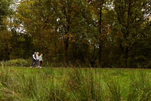 Afstandsfoto van drie mensen die in de natuur wandelen